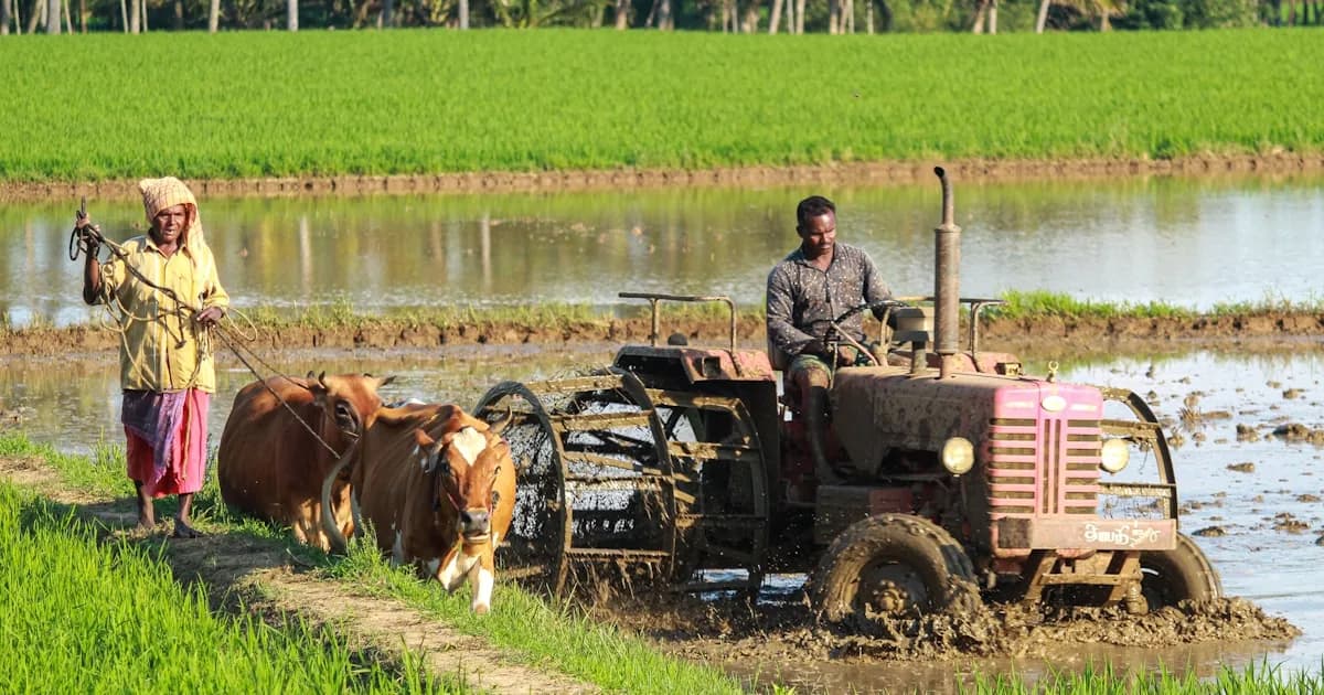 Smart Agriculture Case Study: How LoRa Antennas Achieve 10km Wireless Soil Monitoring