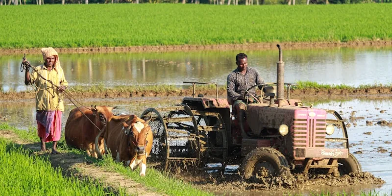 Smart Agriculture Deployment